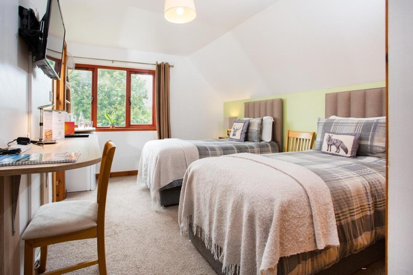 Beechwood Lodge Guesthouse Alness Exteriér fotografie